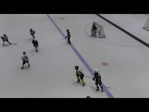 Vipers Black vs Vipers White 1/2