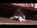 Tim Morozov One Of The Best Horror Content Creators