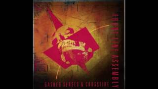 Front Line Assembly - Big Money