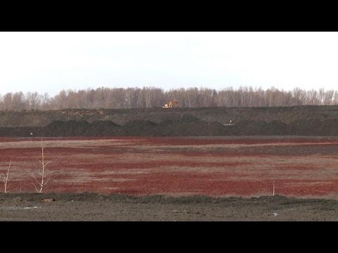 Environmental groups warn over toxic mud in Hungary