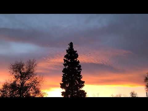 Silhouettes in a Glorious Sunset