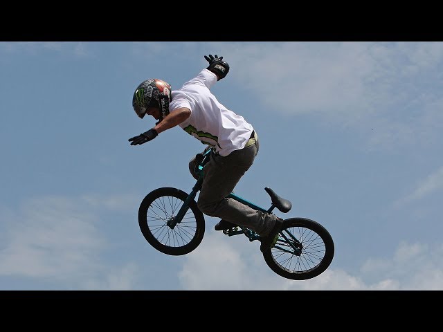 Россыпь медалей