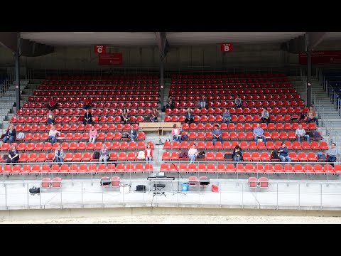 Per Klick zum Gig Nr. 2 - Chor Hay-Fidelity Best of online-Singstunden