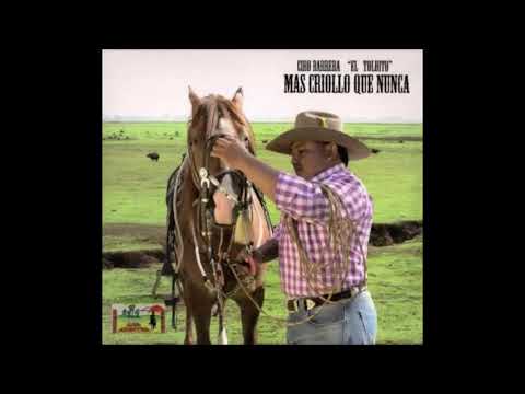 07.El llanero amargo - Ciro Barrera