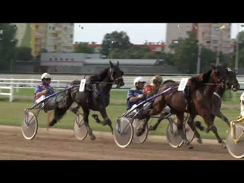 2019.08.03. 08. futam - HÁROMÉVESEK NAGYDÍJA (NÜL-V.)