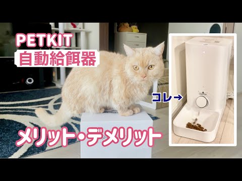 キャットフィーダーを高くするメリット