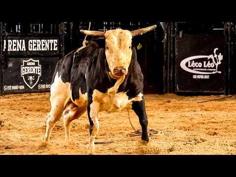 DISPUTA FINAL em TOUROS | RODEIO de TURIÚBA-SP 2026