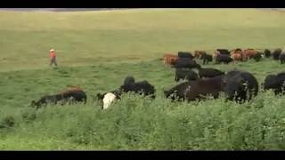 preview picture of video 'Idaho Beef - Grass Finished by Brady's Beef'
