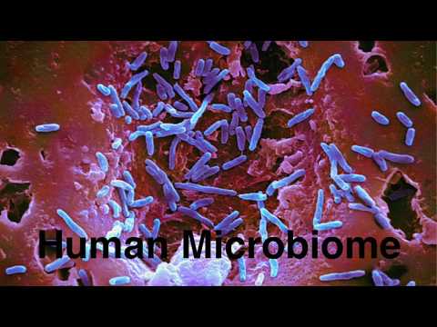 Dr. Jennifer Gommerman