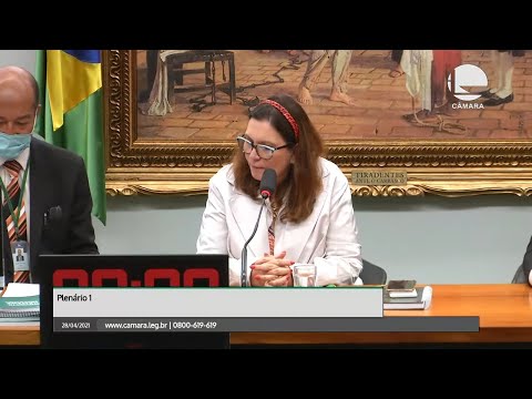 Comissão de Constituição e Justiça - Discussão e votação de propostas - 28/04/2021 19:41