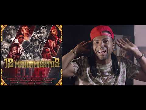 12 MANDAMIENTOS Ariel Kelly Mi Experiencia Personal.