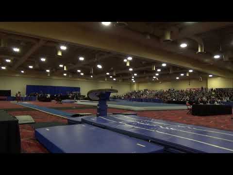 Kyle King - Vault - 2019 Winter Cup Senior Finals