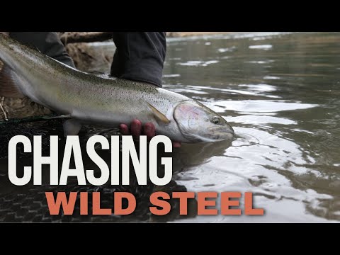 Chasing Wild Steelhead on the Olympic Peninsula | Day 1 of 3 |