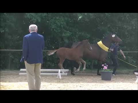 SF2021 In my Mind Benetton Dream