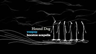 Hound Dog Music Video