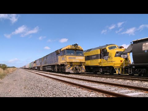 6MP4 TOLL Container Train Crosses SSR Grain Train  (10/12/2021) - PoathTV Australian Railways