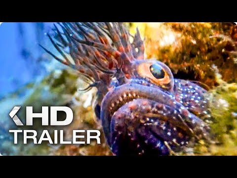 UNSER BLAUER PLANET 2 Trailer German Deutsch (2018)