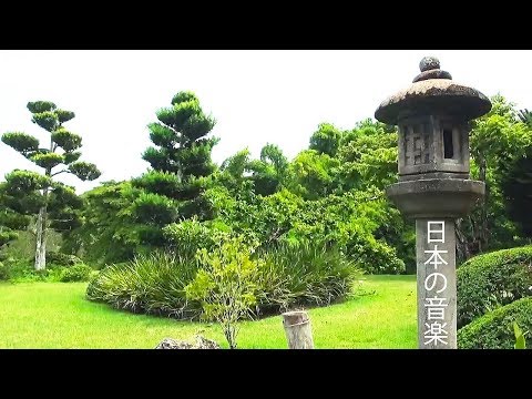 Adorable Japanese Music 💚 Traditional Koto, Shamisen, Bamboo Flute Music!