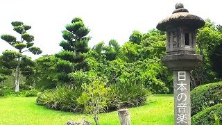 Adorable Japanese Music 💚 Traditional Koto, Shamisen, Bamboo Flute Music!