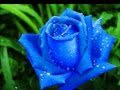 Nadia Ali-Love Story (Andy Moor Remix) 