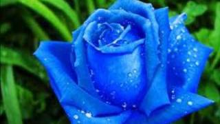 Nadia Ali-Love Story (Andy Moor Remix)