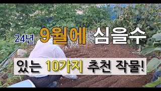 24년 9월에 심을 수 있는 10가지 추천 작물! #텃밭에 9월에 심는 작물.