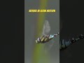 Slow motion footage of a dragonfly #wildlife #nature