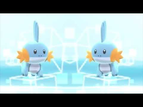 mudkip walk [1 hour]