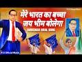 मेरे भारत का बच्चा बच्चा जय जय भीम बोल�