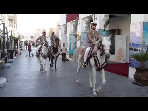 Travel Video - Arabian Horses running in Doha streets, Qatar - Horse Videos | Henriette Bokslag