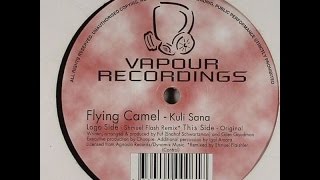 Flying Camel ‎– Kuli Sana (Shmuel Flash Remix)