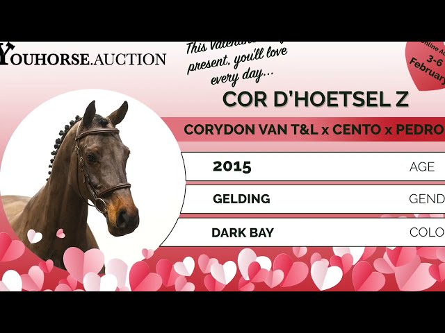 Cor D'hoetstel @ show Hickstead