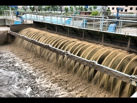 Compost Contamination (Hazards) | Planet Natural