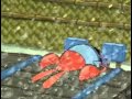 SpongeBob SquarePants Patty Caper 3 3