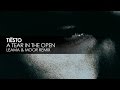 Tiësto - A Tear In The Open (Leama & Moor Remix)