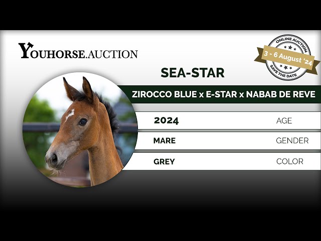 Sea-Star