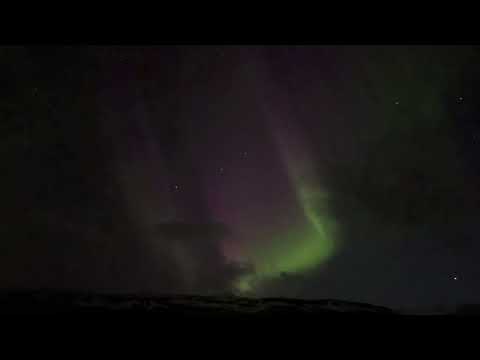 Aurora Day 5