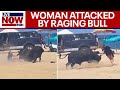 WATCH: Wild bull attacks woman on Mexican beach | LiveNOW from FOX