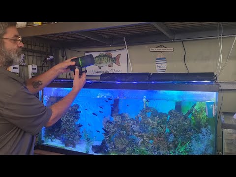 Automatic Fish Feeder