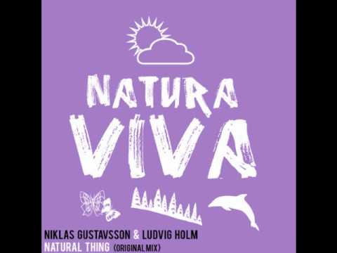 Niklas Gustavsson & Ludvig Holm - Natural Thing (Original Mix)