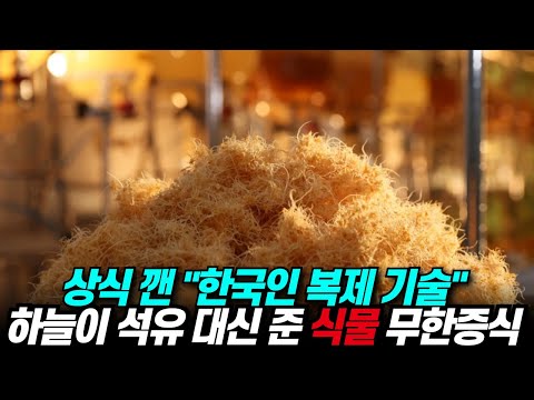 하루 만에 공장에서 ‘뚝딱’…“세계 최초” 한국인 또 일냈다.
