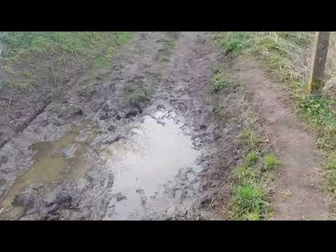 UKFN 2019 - Grow update  23.3.19