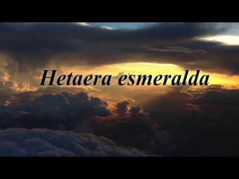 Sleeper: Hetaera esmeralda
