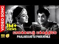 Paalakkaattu Pakkathile HD Video Song 5 1 Audio Sivaji Ganesan Padmini TMS P Susheela