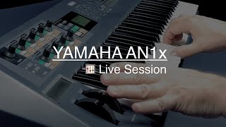 Yamaha AN1x - What To Know & Where To Buy | Equipboard