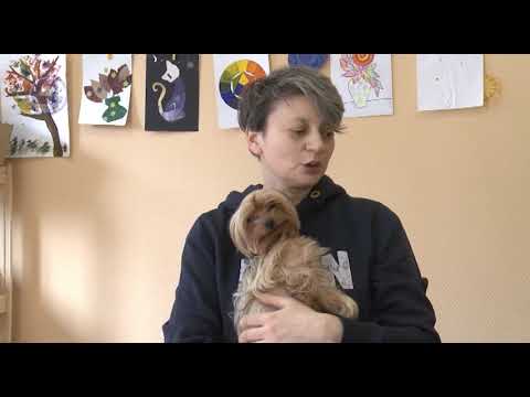 ТелеЗВЕРИ: собаки-терапевты