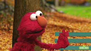 Wondering About Skin Color