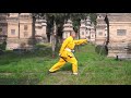 1 Shaolin Shi San Quan (Level 1) 少林十三拳（一段）