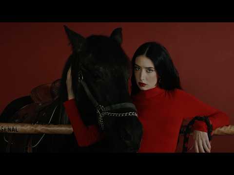 Matador