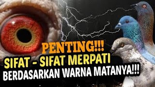 Download lagu MENGENALI SIFAT MERPATI BERDASARKAN WARNA MATANYA.!!! mp3